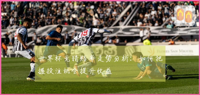 世界杯竞猜赔率走势分析：如何把握投注机会提升收益
