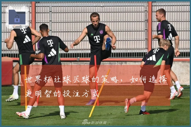 世界杯让球买球的策略，如何选择更明智的投注方式