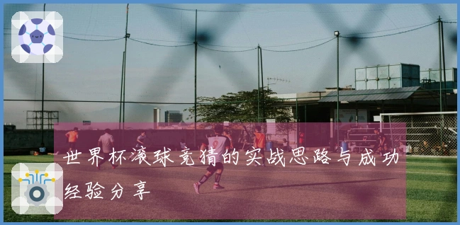 世界杯滚球竞猜的实战思路与成功经验分享