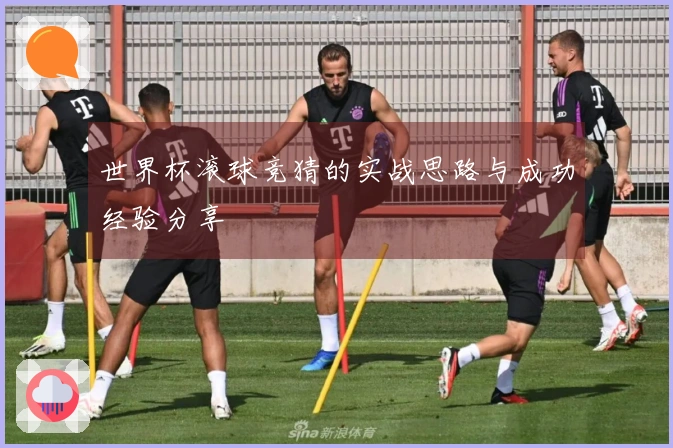 世界杯滚球竞猜的实战思路与成功经验分享