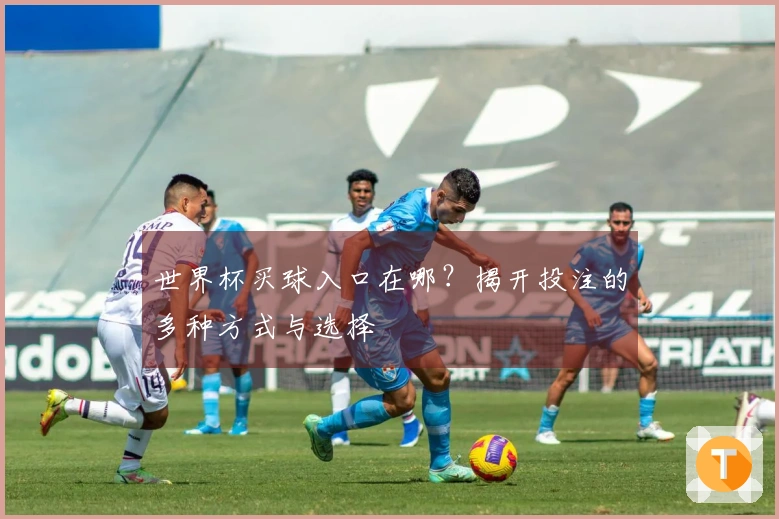 世界杯买球入口在哪？揭开投注的多种方式与选择