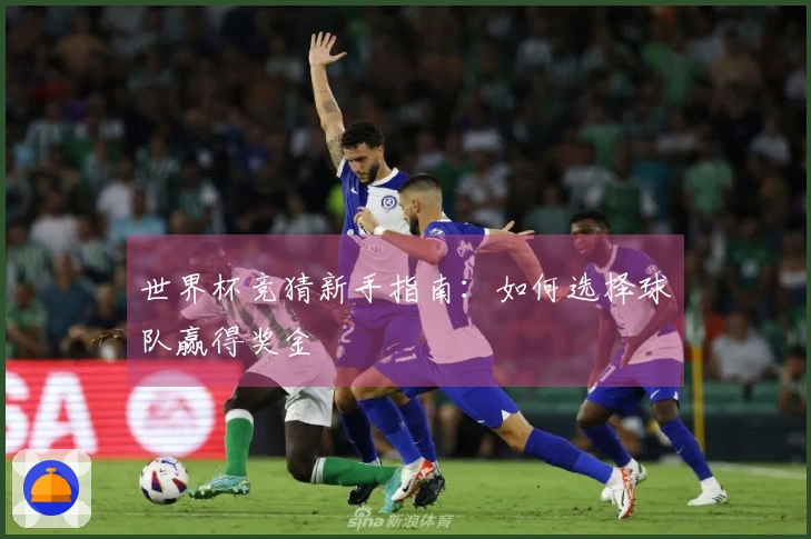 世界杯竞猜新手指南：如何选择球队赢得奖金