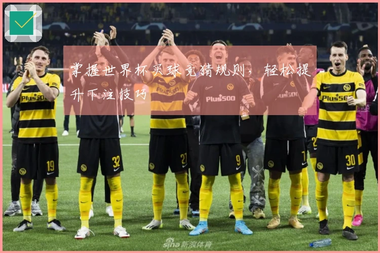 掌握世界杯买球竞猜规则，轻松提升下注技巧