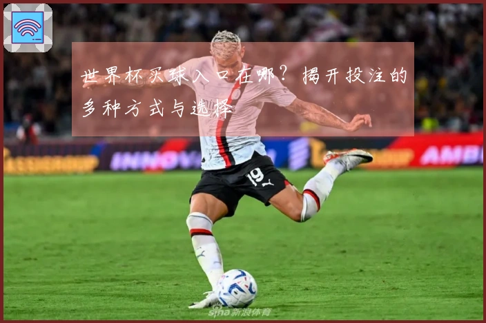 世界杯买球入口在哪？揭开投注的多种方式与选择