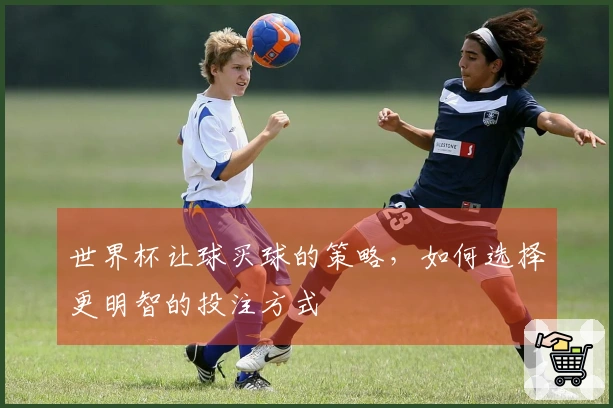 世界杯让球买球的策略，如何选择更明智的投注方式