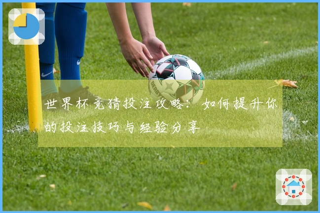 世界杯竞猜投注攻略：如何提升你的投注技巧与经验分享