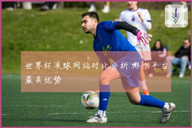 世界杯滚球网站对比分析 哪个平台最具优势