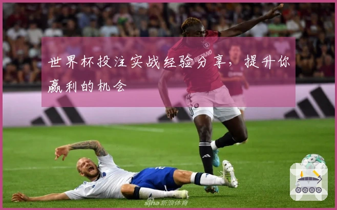世界杯投注实战经验分享，提升你赢利的机会