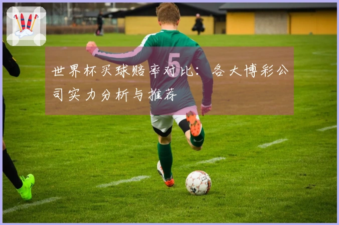 世界杯买球赔率对比：各大博彩公司实力分析与推荐