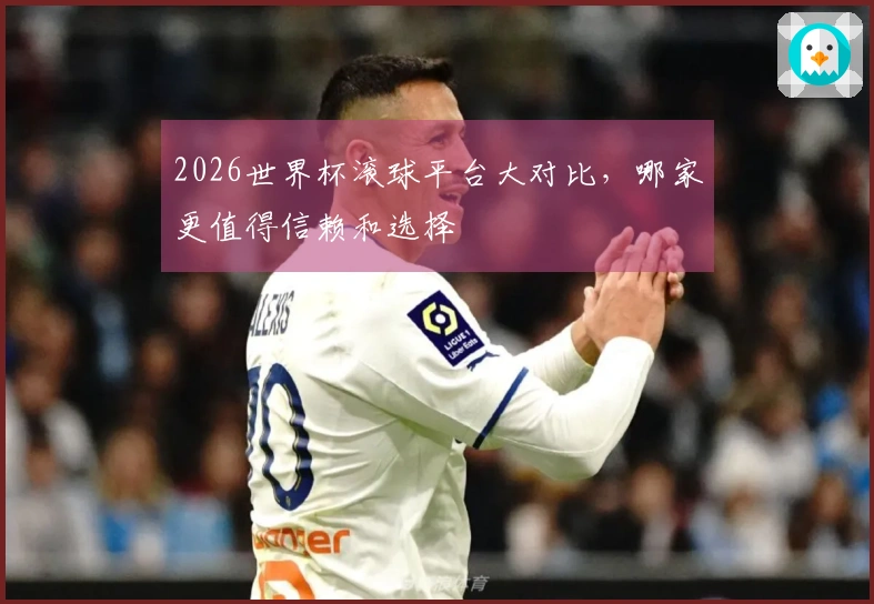 2026世界杯滚球平台大对比，哪家更值得信赖和选择