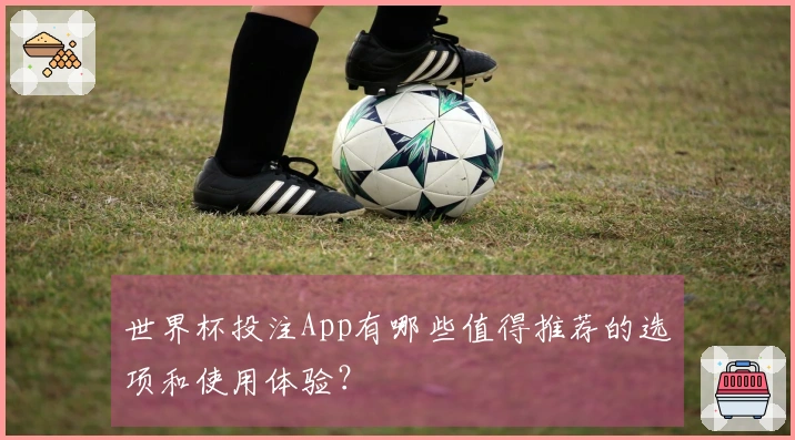 世界杯投注App有哪些值得推荐的选项和使用体验？